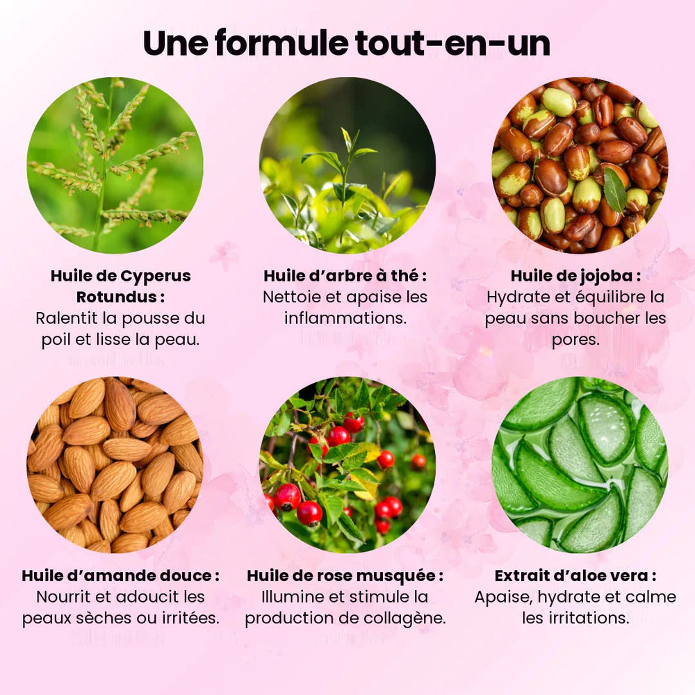 Une formule tout-en-un : six ingrédients botaniques