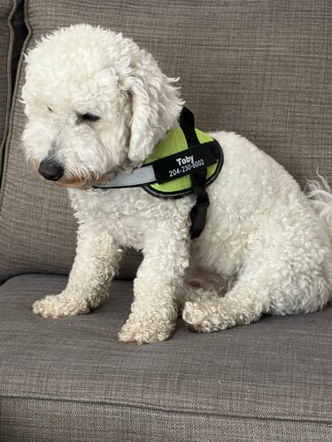 Duffy portant son nouveau harnais XELAE