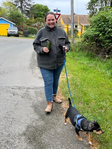 Chien en promenade avec le harnais XELAE et son anneau frontal
