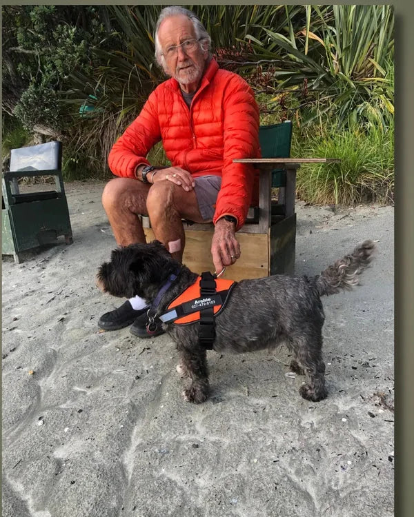 Chien en balade avec le harnais XELAE