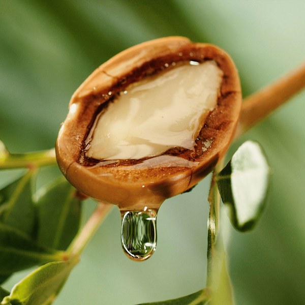 Olio di argan