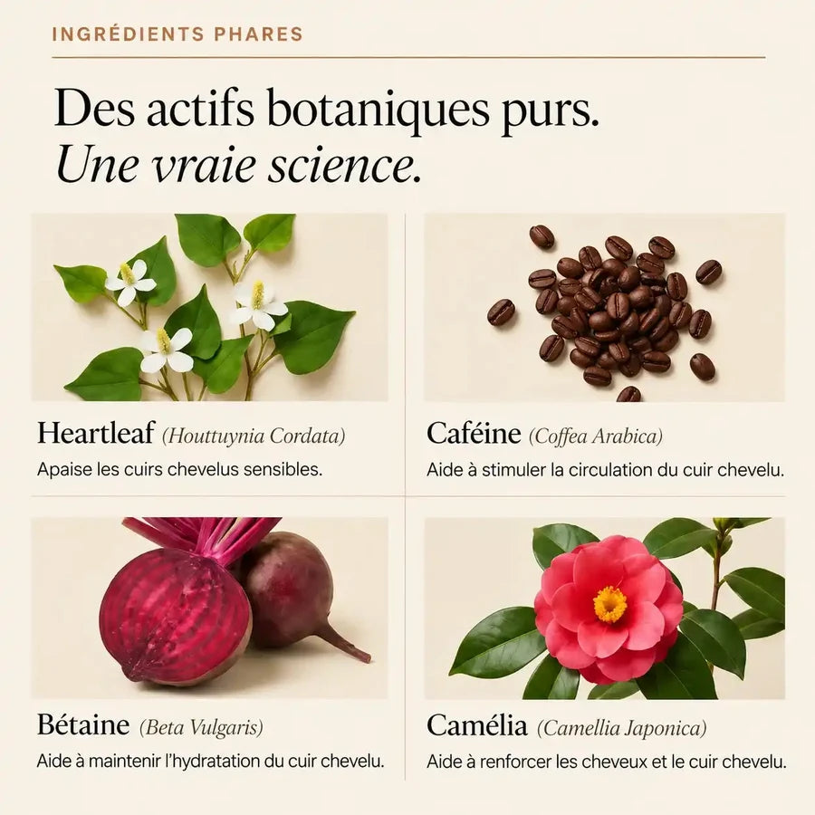 Ingrédients naturels de la formule