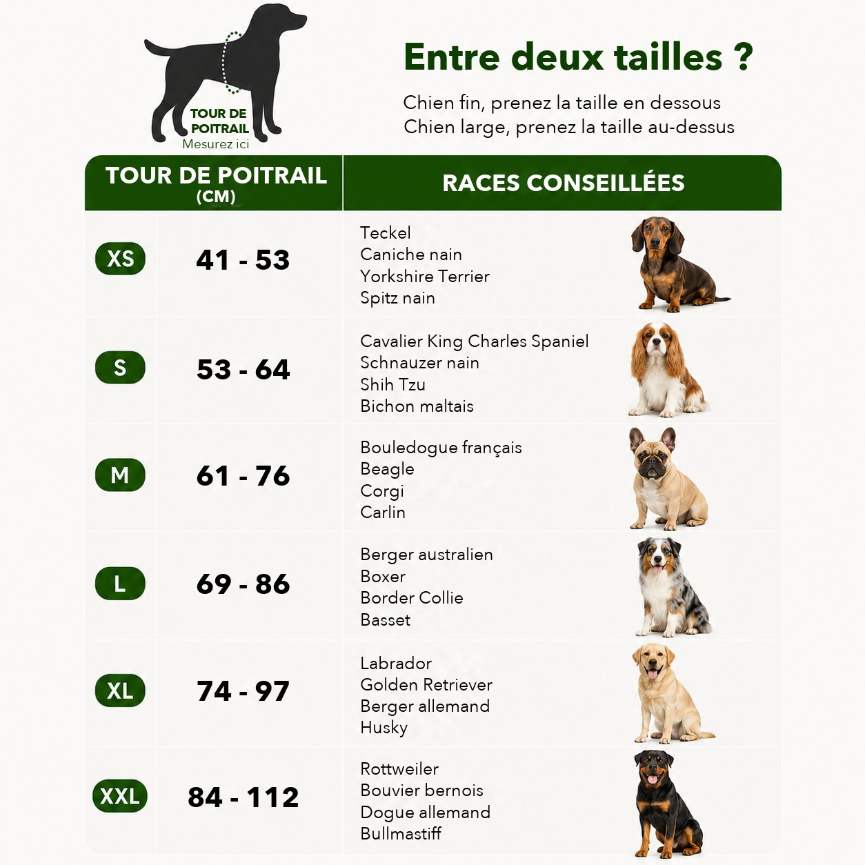 Guide des tailles