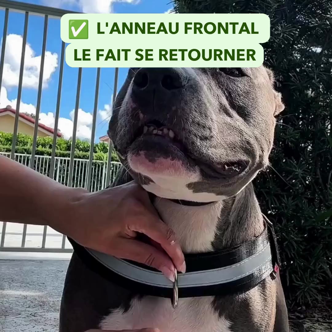 L'anneau frontal le fait se retourner