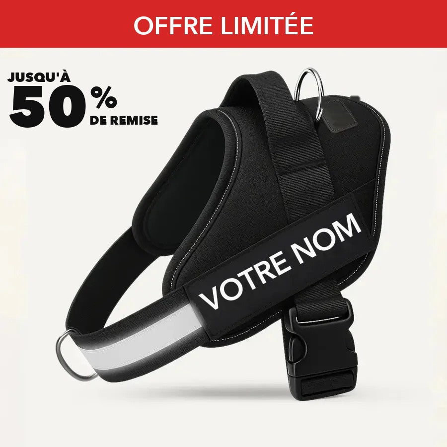 Harnais anti-tirage XELAE avec plaque personnalisée