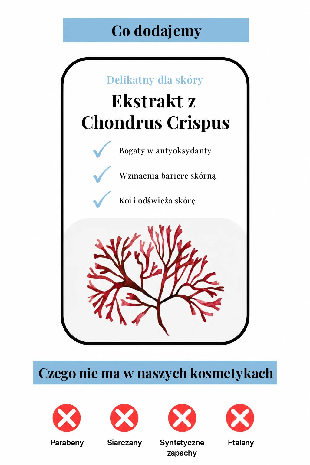 Serum VoluFine XELAE w codziennej pielęgnacji